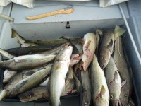 /album/feriehus-i-lofoten/a290-jpg/